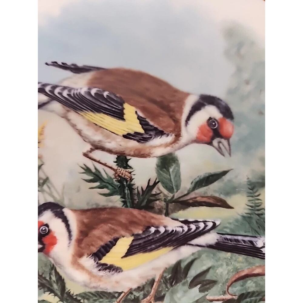 HEIMISCHE SINGVÖGEL ER BAUT SEIN NEST, PLATE